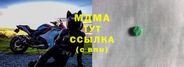 стаф Вязьма