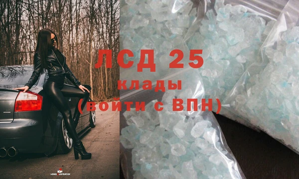 стаф Вязьма