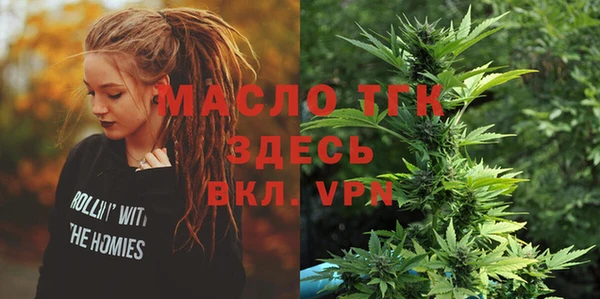стаф Вязьма
