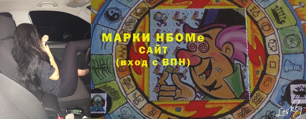 стаф Вязьма