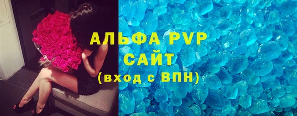 стаф Вязьма