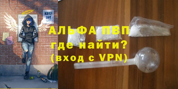 стаф Вязьма