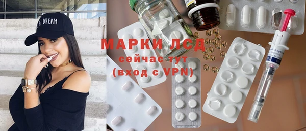 стаф Вязьма
