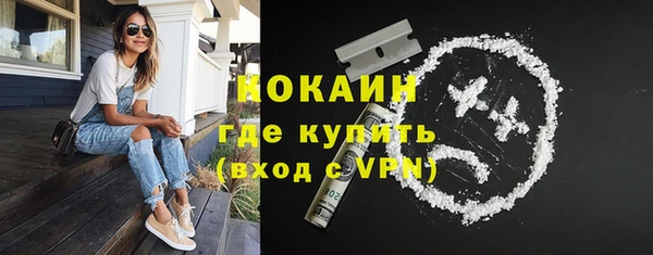 стаф Вязьма